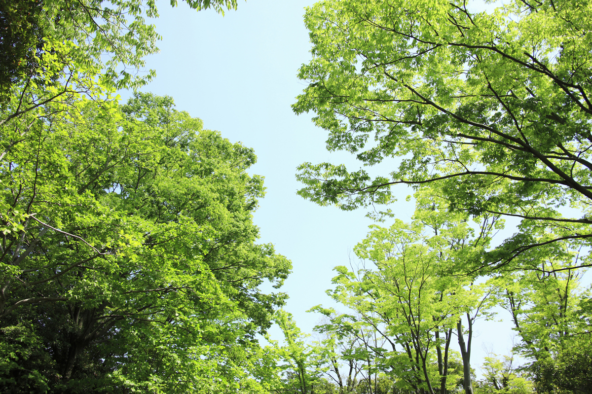 地域に根ざした家庭医として